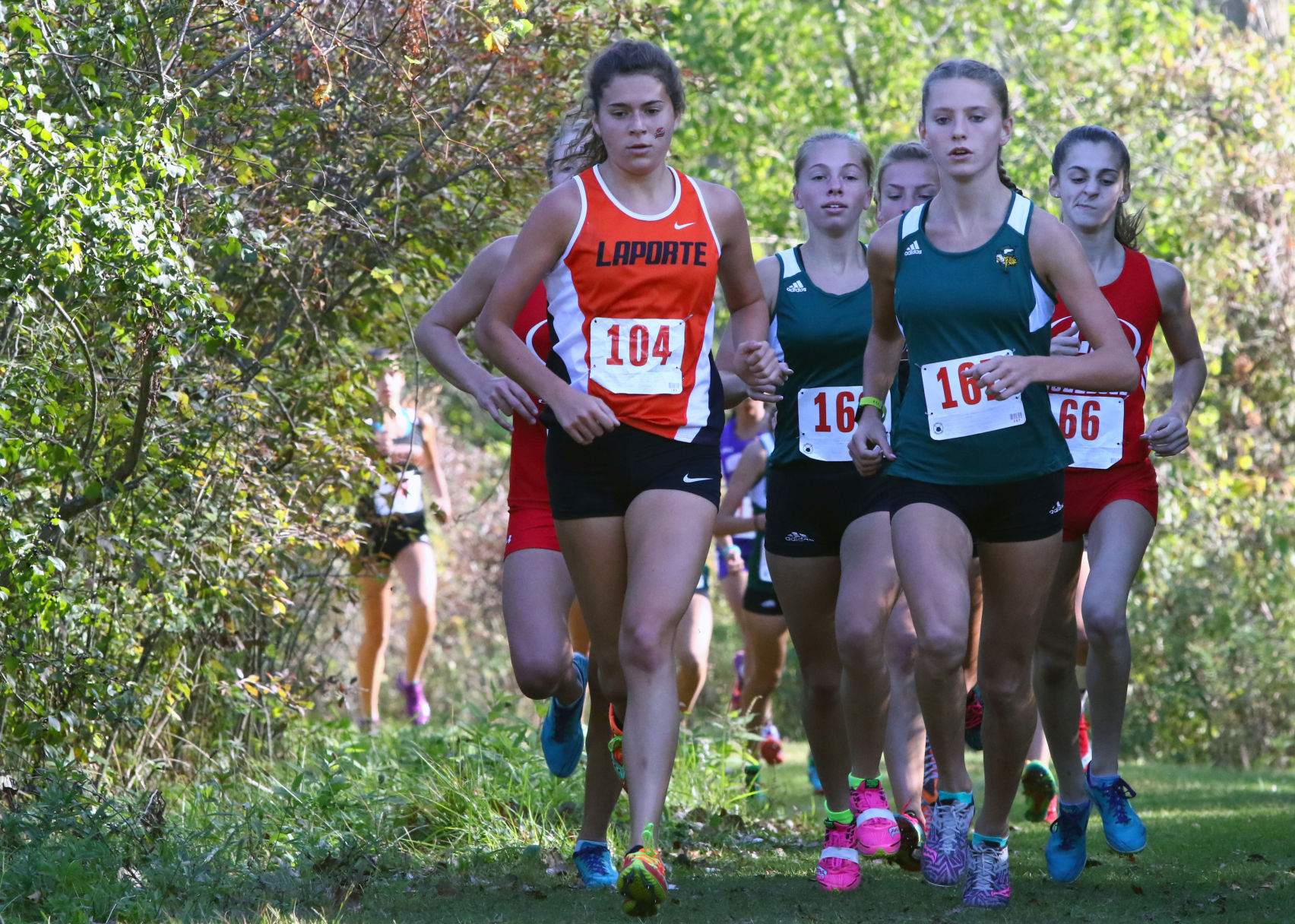 Gallery: Duneland Athletic Conference cross country meet